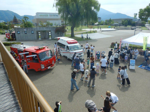 Photo_6